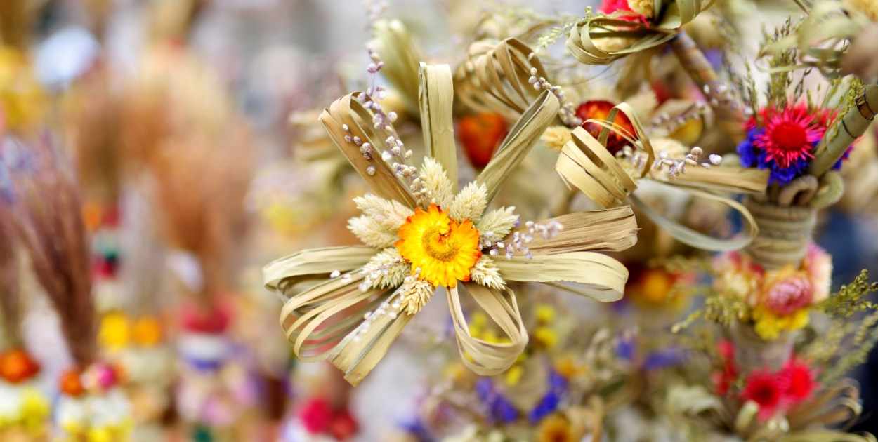 Foto: Canva