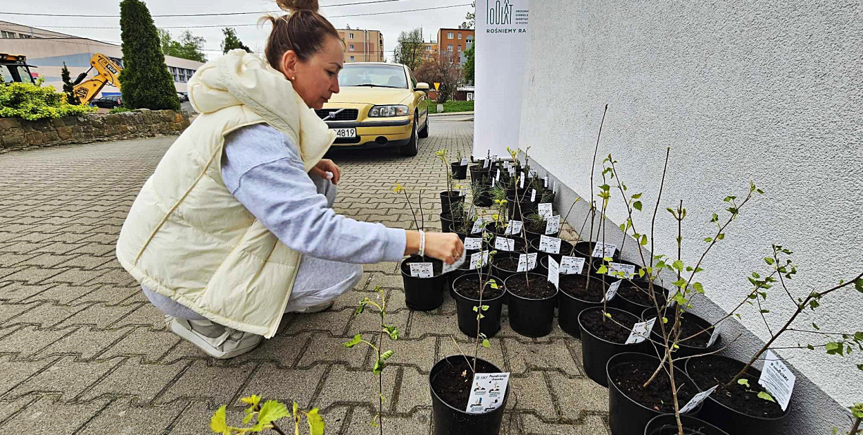Rozeszły się w rekordowym tempie, ale najszybciej zniknął ten jeden gatunek..