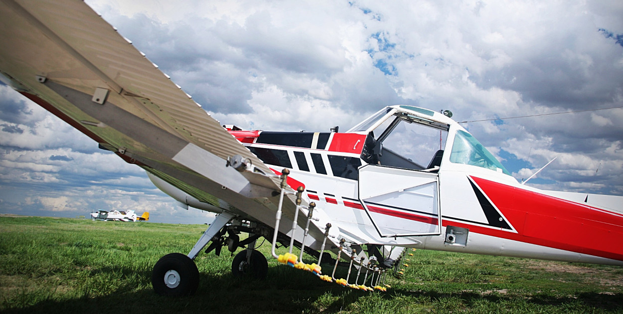 Plaga szkodników w dwóch gminach. Planowane są opryski lotnicze i zakazy...