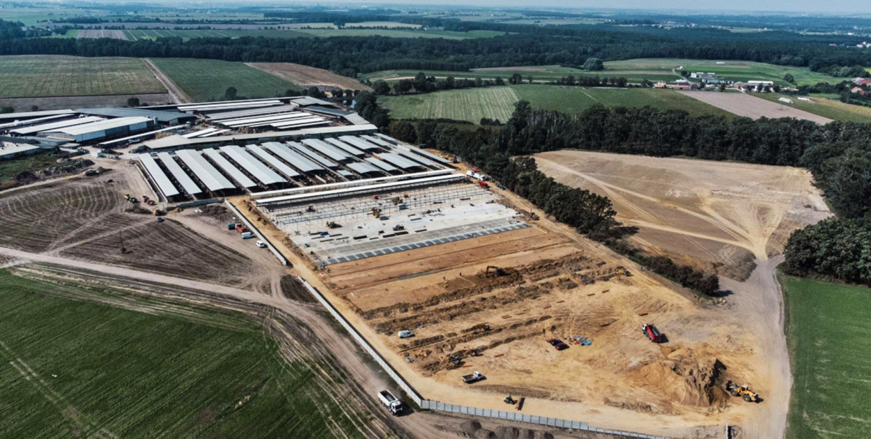 Wraca temat fermy w Dąbrówce. Wzbudza kontrowersje prawne i etyczne