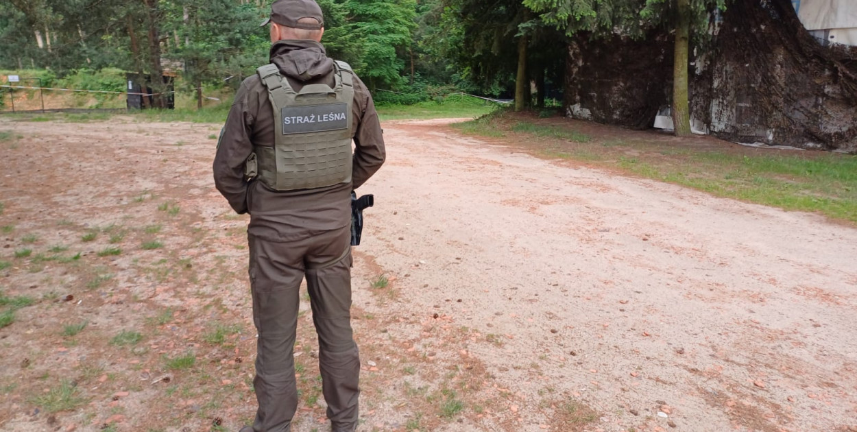 Z Piasków pod białoruską granicę. Co tam robił strażnik z naszego nadleśnictwa?