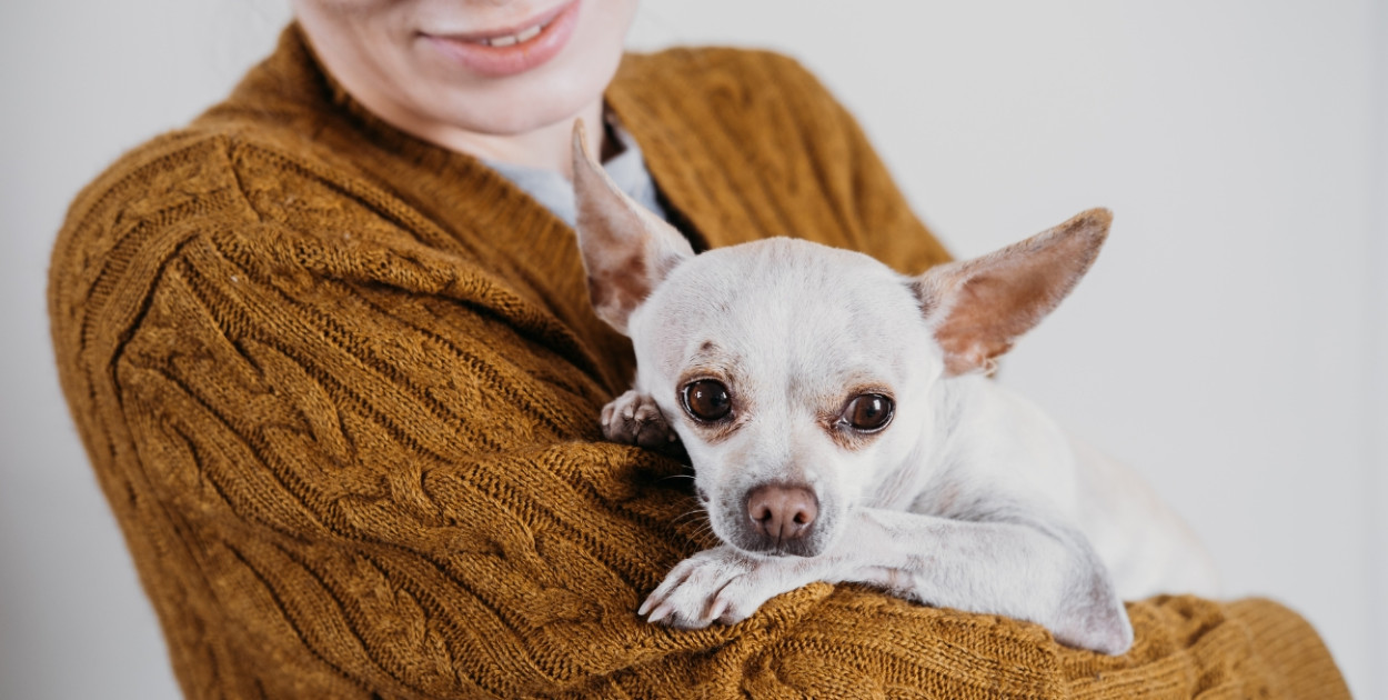 Nie jest ważne, jaki masz rodowód, ważne, jaką masz duszę! Uściskaj go dziś