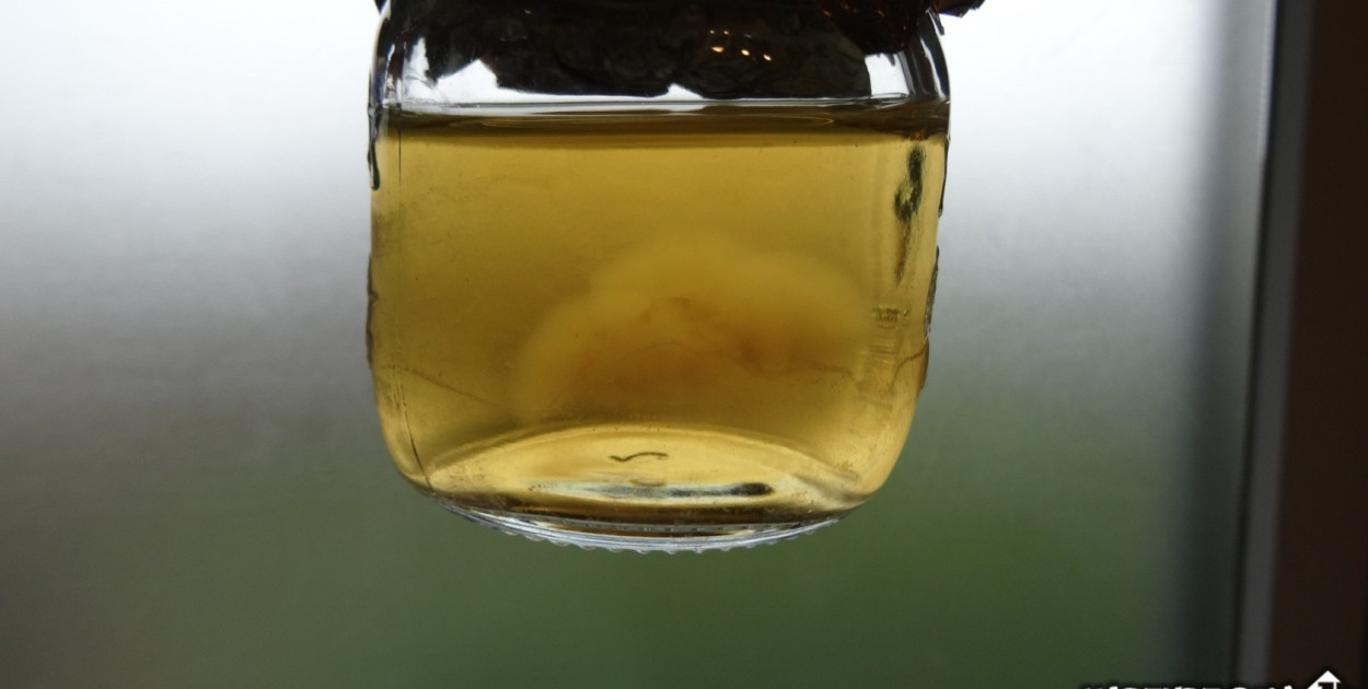 Najlepszy olejek CBD na stres i relaks – który wybrać