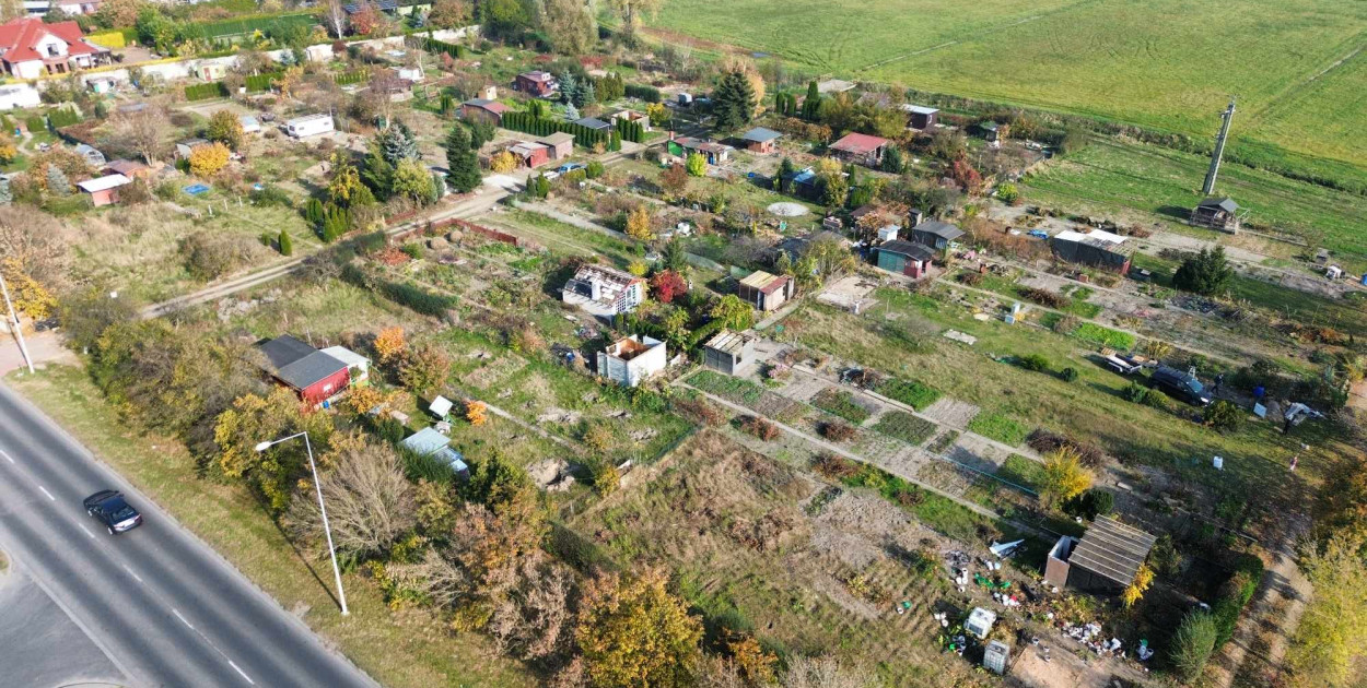 Smutny koniec działek... Na ich terenie ma powstać market. Wiemy, jakiej sieci