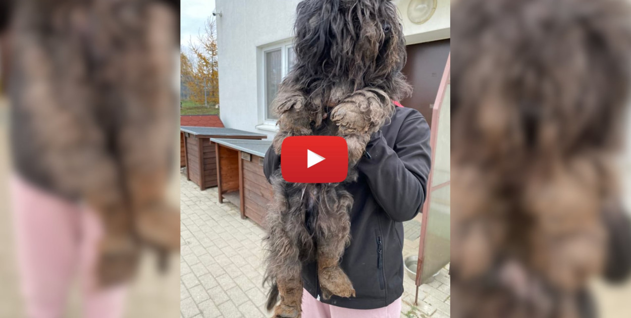 Przetrwał piekło, by znaleźć szczęście. Trudno opisać słowami jak wyglądał!