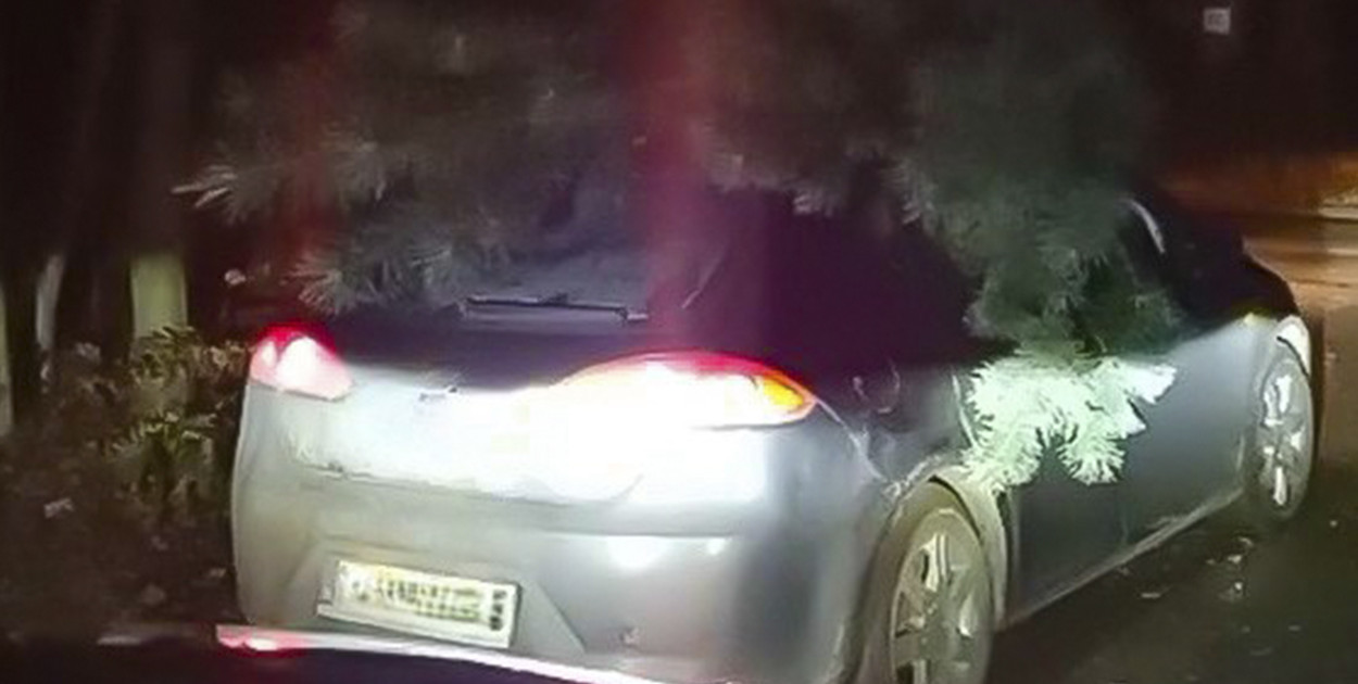 Wycięli co chcieli i załadowali na dach. Po chwili zrobiło się mniej świątecznie