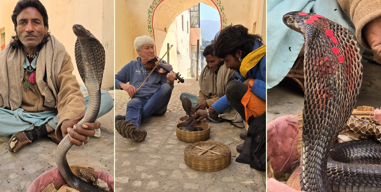 Zaklinacz węży… na skrzypcach? Wojtek Czemplik dokonał niemożliwego...