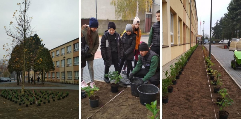 Foto: Facebook/Gmina Krobia/fotomontaż Gostyn24