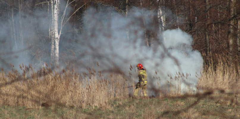Foto: Gostyn24.pl