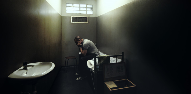 Foto pogladowe: AdobeStock