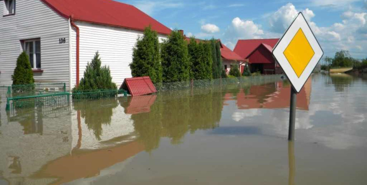 Foto: Tygodnik Nadwiślański/Rafał Neckarz