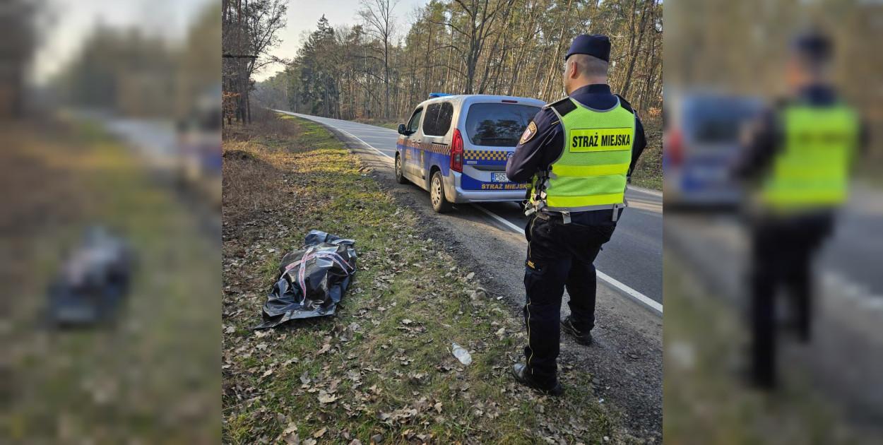 Foto: Straż Miejska Gostyń