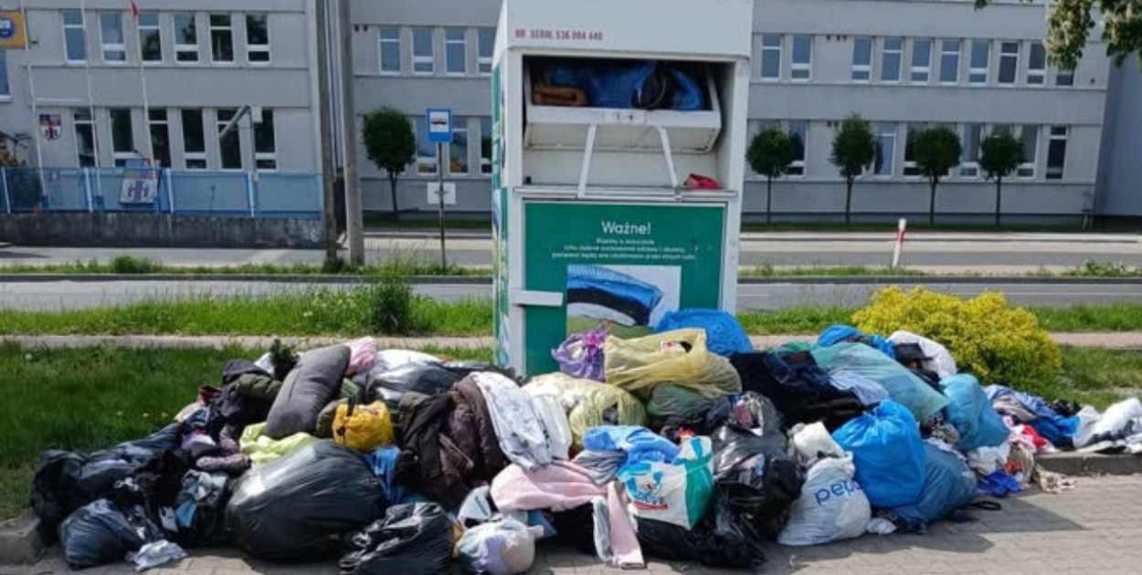 Foto: Czytelniczka