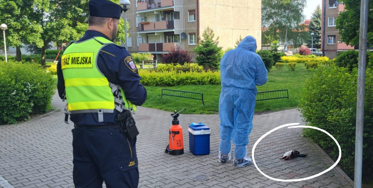 Foto: Gostyn24