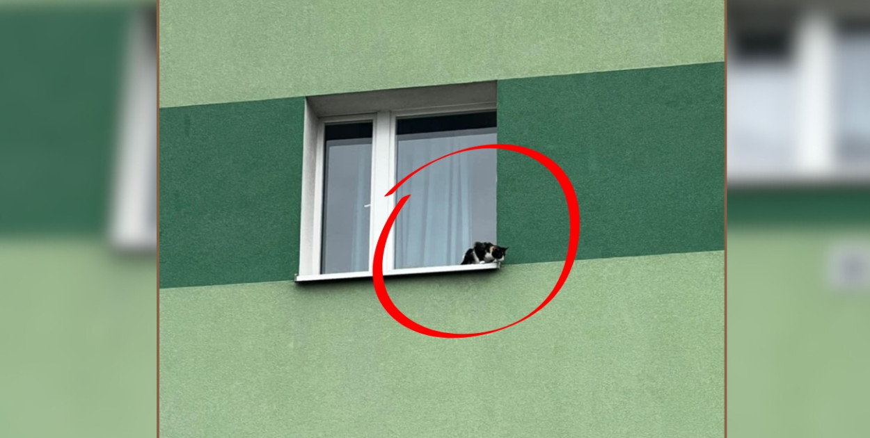 Foto: Straż Miejska Gostyń/fotomontaż