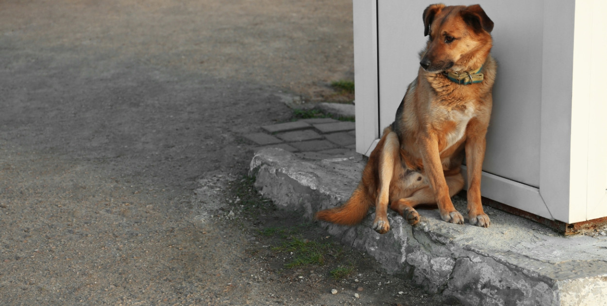 Foto: Canva