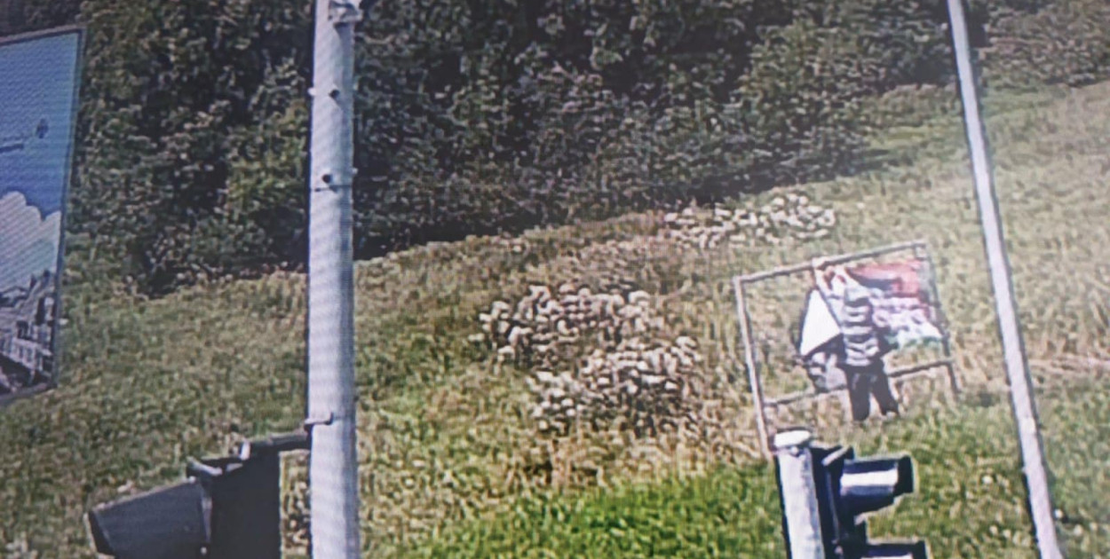 Foto: Screen Nagranie Straż Miejska