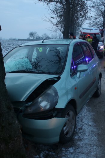 W Taniecznicy samochód osobowy uderzył w drzewo-9339