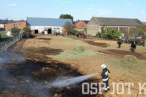 Pożar na wybiegu dla koni w Potarzycy-10473
