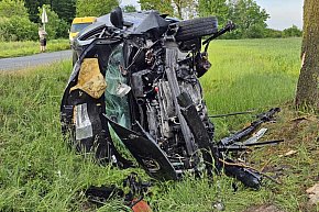 Samochód uderzył w drzewo w miejscowości Międzyborze-11515