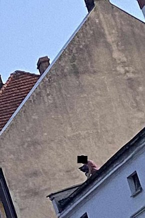 Mężczyzna stał na dachu kamienicy w Lesznie i...-11563