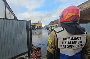 Pożar stacji demontażu pojazdów w Czarkowie-12122