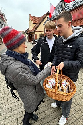 Sadzonki tulipanów na Dzień Niepodległości w Gostyniu-12377