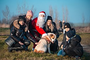 Mikołajkowy Dzień Otwarty w Schronisku-12532