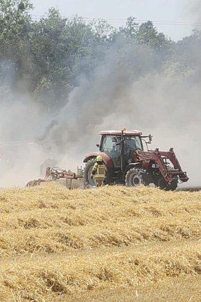 Pożar pola w Krzekotowicach, w gminie Pępowo-13293