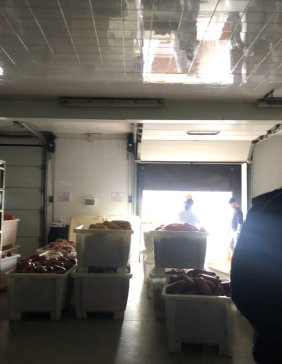 Policja użyła siły! Aż 26 ton nielegalnego mięsa trafiło do utylizacji w Krobi. -59408
