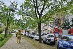 Akcja strażaków w plantach. Drzewo w każdej chwili mogło runąć na chodnik i...-67441