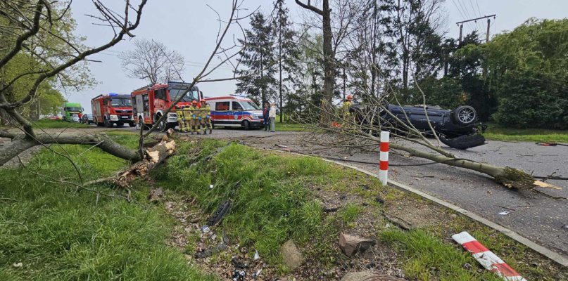 Wypadek w podgostyńskiej wsi. Auto uderzyło w drzewo i dachowało na drodze - 67661