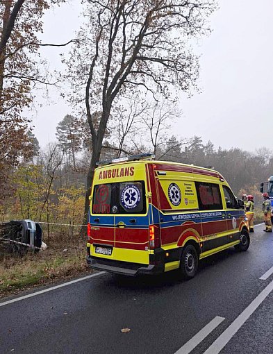 Wypadek pod Kąkolewem. Auto wypadło z drogi. Wezwano karetkę-73822