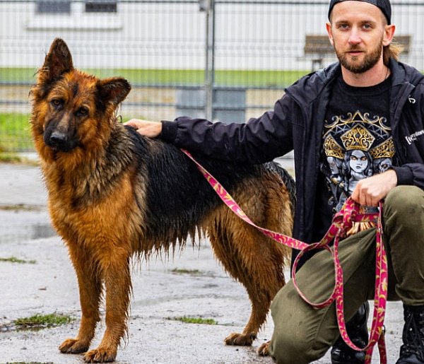 Mikołajkowy Dzień Otwarty w schronisku w Dalabuszkach – podaruj radość zwierzakom!-74247