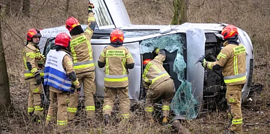 Wypadła z drogi, uderzyła w drzewo, dachowała. Z pomocą ruszyli świadkowie-76032