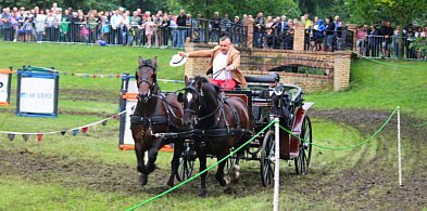 Rokosowo Horse Show już od dziś! Rodzinne atrakcje, konie i wyjątkowa...-80035