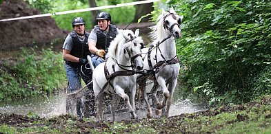 Za nami pierwszy dzień Rokosowo Horse Show. Było co robić i na co popatrzeć-80047