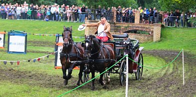 Rokosowo Horse Show już od dziś! Rodzinne atrakcje, konie i wyjątkowa...-80035