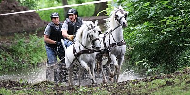 Za nami pierwszy dzień Rokosowo Horse Show. Było...-80047