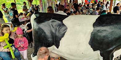 Deszcz zmusił ich do przeniesienia imprezy. Ale to...-80050