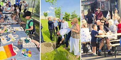 To była dobra decyzja. Żywe drzewko zamiast "pomnika" Wystarczyło na piknik-80368