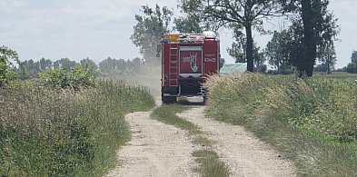Strażacy wyprowadzeni w pole? Niekoniecznie. W każdej chwili wiatr ...-80396