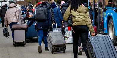 Dziś Światowy Dzień Uchodźcy. Wiemy ilu cudzoziemców zameldowanych było...-80398
