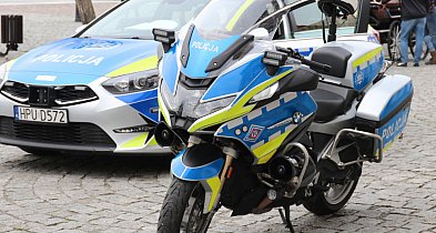 Myślał, że zgubi policję w lesie. Nie przewidział jednego…-80385
