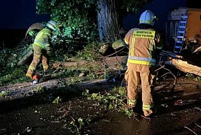 Prognozy się sprawdziły. To była bardzo niespokojna noc. Drzewa łamały się...-80593