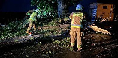 Prognozy się sprawdziły. To była bardzo niespokojna noc. Drzewa łamały się...-80593