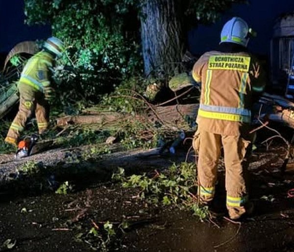 Prognozy się sprawdziły. To była bardzo niespokojna noc. Drzewa łamały się...-80593