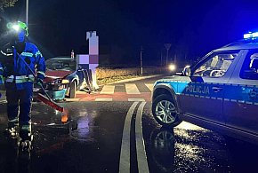 18-letni kierowca zignorował znak drogowy... To musiało się tak skończyć-80672