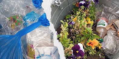 Śmietnikowa wojna trwa! Mieszkańcy nie gryzą się w język. Nie chodzi tylko o ...-80760