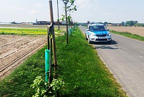 Mówią, że nie wiedzą, czemu to zrobili. Został tylko wstyd i mandaty do zapłacenia-80792